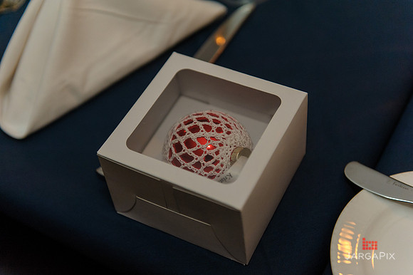 Kristen_Brenden_Wedding-265