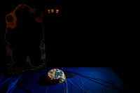 Aklian_family_Slideshow-020