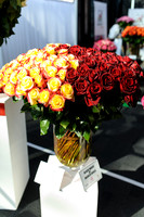 Floral_Expo_2013_JJC-036