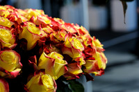 Floral_Expo_2013_JJC-026