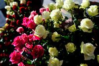 Floral_Expo_2013_JJC-002