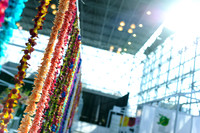 Floral_Expo_2013_JJC-039