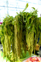 Floral_Expo_2013_JJC-046