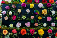 Floral_Expo_2013_JJC-012