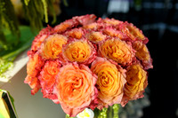 Floral_Expo_2013_JJC-047