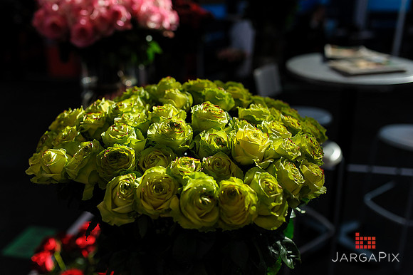 Floral_Expo_2013_JJC-069