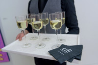 Citi Prestige @ Waterfall Mansion Gallery