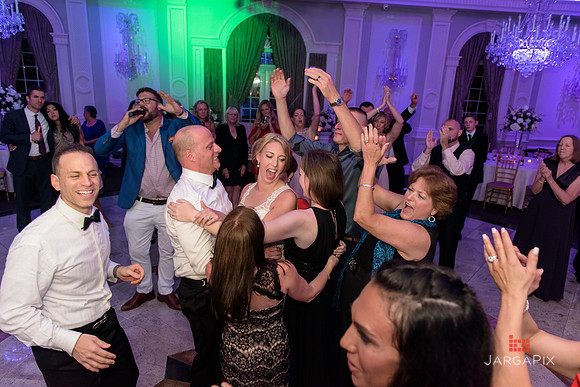Domenico_Lauren_Wedding_1556
