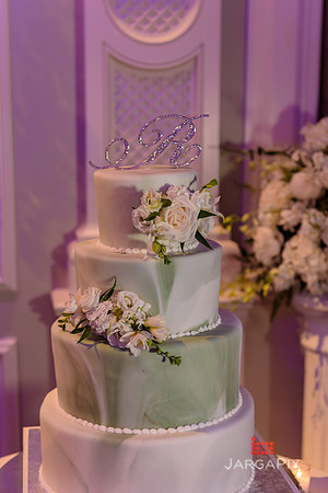 Domenico_Lauren_Wedding_1354