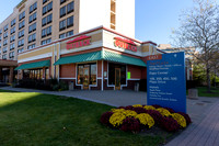 Outback_Steakhouse_SES_Branding-007