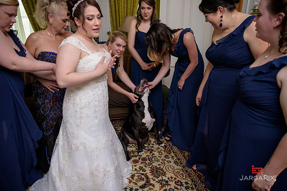 A_Celebs_Wedding_Forsgate_CC_5-28-2016_0081