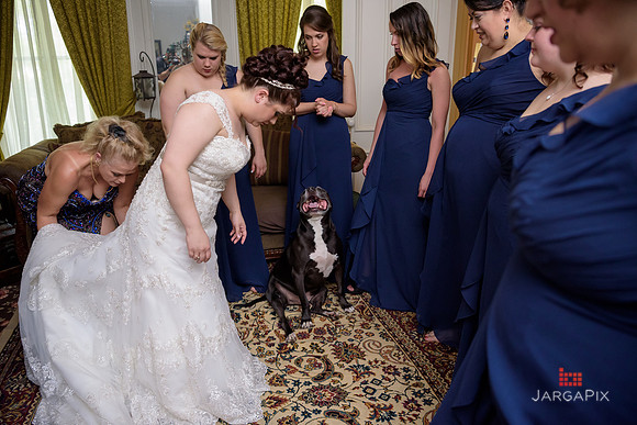 A_Celebs_Wedding_Forsgate_CC_5-28-2016_0084
