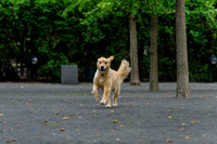 Legreca_Family_Hoboken_Portraits-018