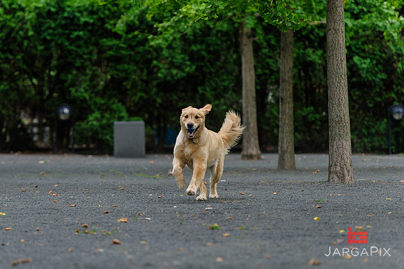 Legreca_Family_Hoboken_Portraits-018