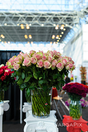 Floral_Expo_2013_JJC-050