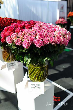 Floral_Expo_2013_JJC-035