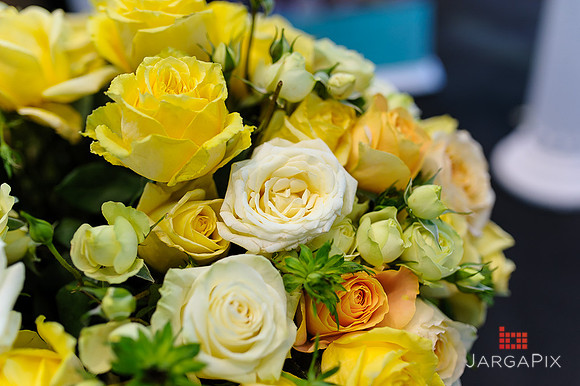 Floral_Expo_2013_JJC-056