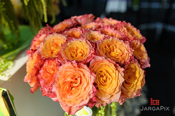 Floral_Expo_2013_JJC-047