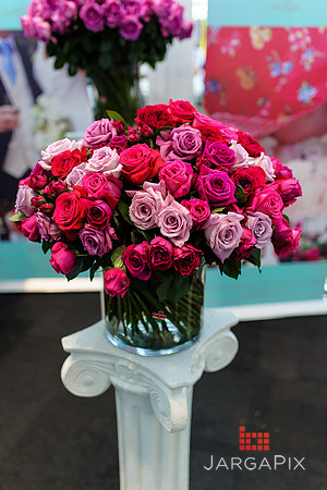 Floral_Expo_2013_JJC-055