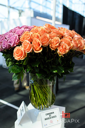 Floral_Expo_2013_JJC-037