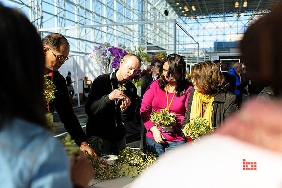 Floral_Expo_2013_JJC-041