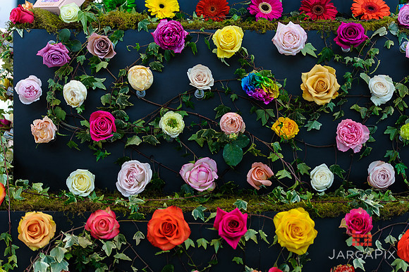 Floral_Expo_2013_JJC-012
