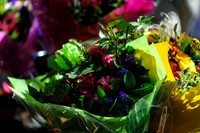 Floral_Expo_2013_JJC-015