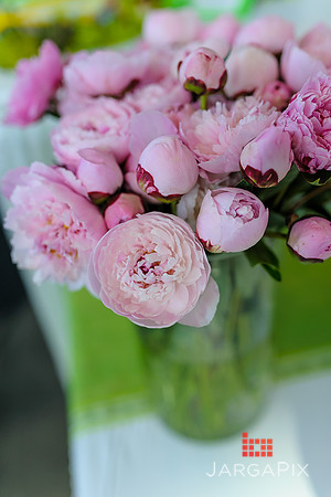 Floral_Expo_2013_JJC-044