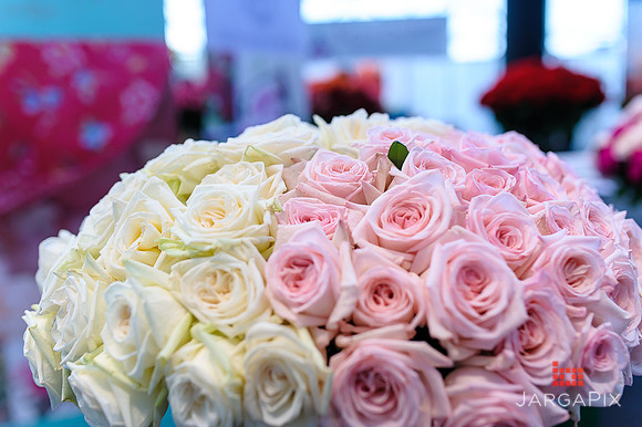 Floral_Expo_2013_JJC-057