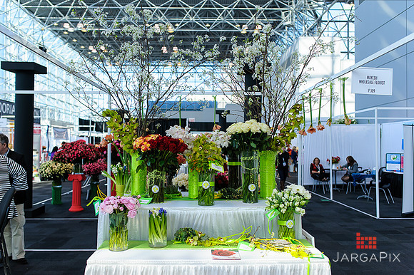 Floral_Expo_2013_JJC-048