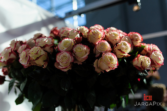Floral_Expo_2013_JJC-072