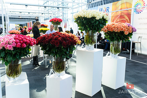 Floral_Expo_2013_JJC-059