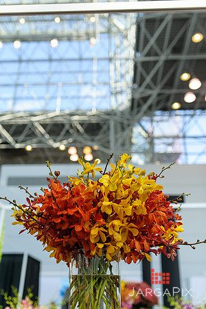 Floral_Expo_2013_JJC-040