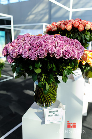 Floral_Expo_2013_JJC-033