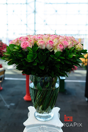 Floral_Expo_2013_JJC-053