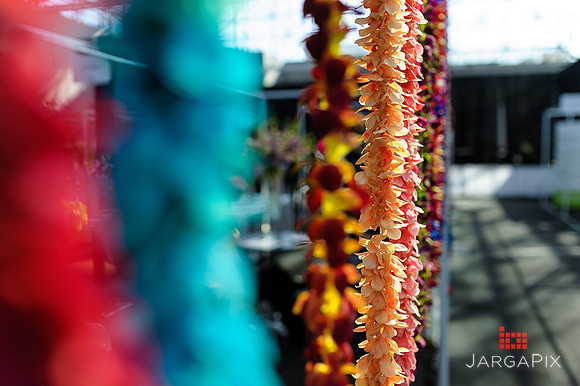 Floral_Expo_2013_JJC-038