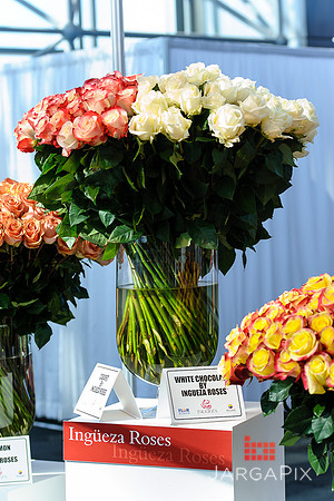 Floral_Expo_2013_JJC-023