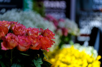 Floral_Expo_2013_JJC-016