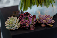 Floral_Expo_2013_JJC-010