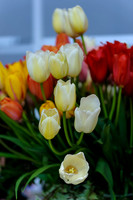 Floral_Expo_2013_JJC-008