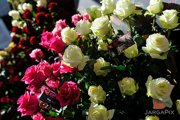 Floral_Expo_2013_JJC-002