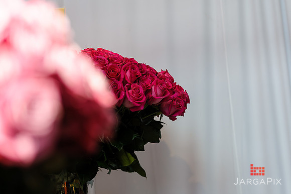 Floral_Expo_2013_JJC-013