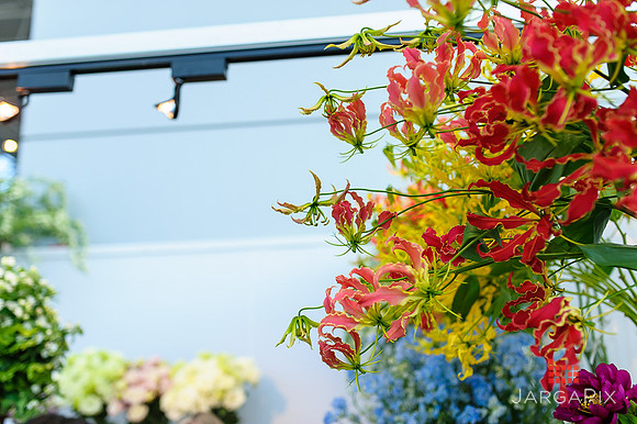 Floral_Expo_2013_JJC-054