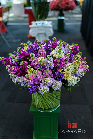 Floral_Expo_2013_JJC-051