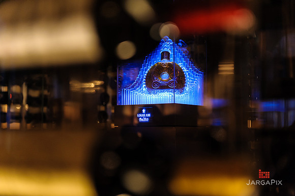 Soho_Exp_Remy_Martin_LXIII_New_York_Palace5-7-2014-043
