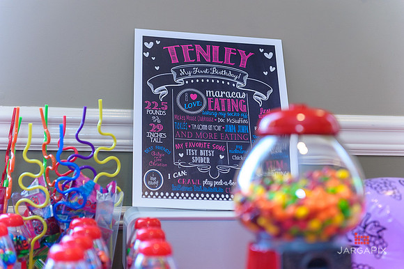 Tenley's_1st_Birthday_Party-004