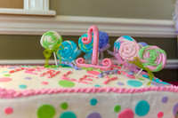 Tenley's_1st_Birthday_Party-005