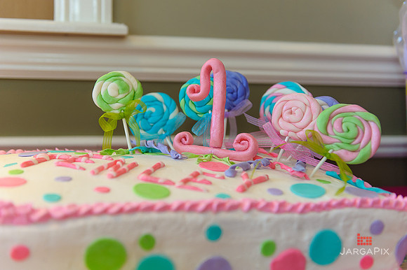 Tenley's_1st_Birthday_Party-005