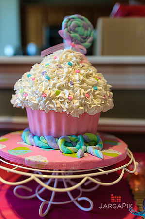 Tenley's_1st_Birthday_Party-007