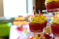 Tenley's_1st_Birthday_Party-006